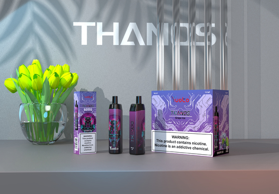 Vape jetable en gros de 5000 bouffées avec 14 ml de support de bobine de maille de batterie E-Liquid 650 mAh personnaliser