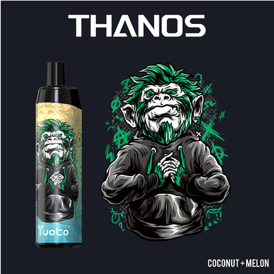 Vape jetable en gros de 5000 bouffées avec 14 ml de support de bobine de maille de batterie E-Liquid 650 mAh personnaliser