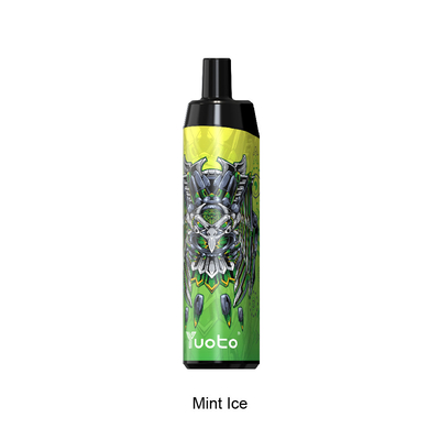 5000 Bouffées Jetables Vape Accessoires Fumeurs 14 ml Ejuice 650 mAh Batterie Menthe Glace pour USA UK Espagne Allemagne France